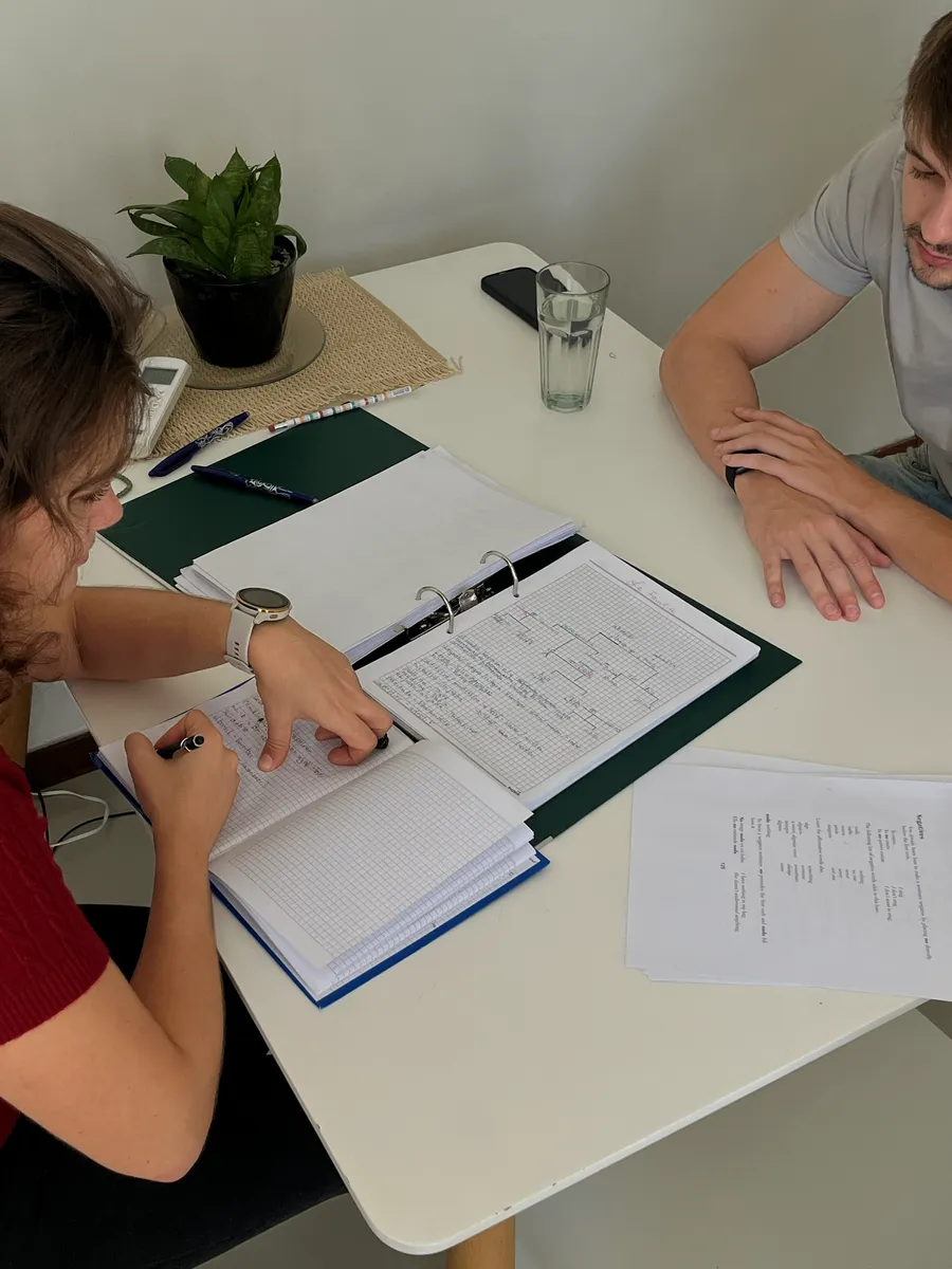 Trabajo mano a mano sobre documentos e idiomas en Pangea